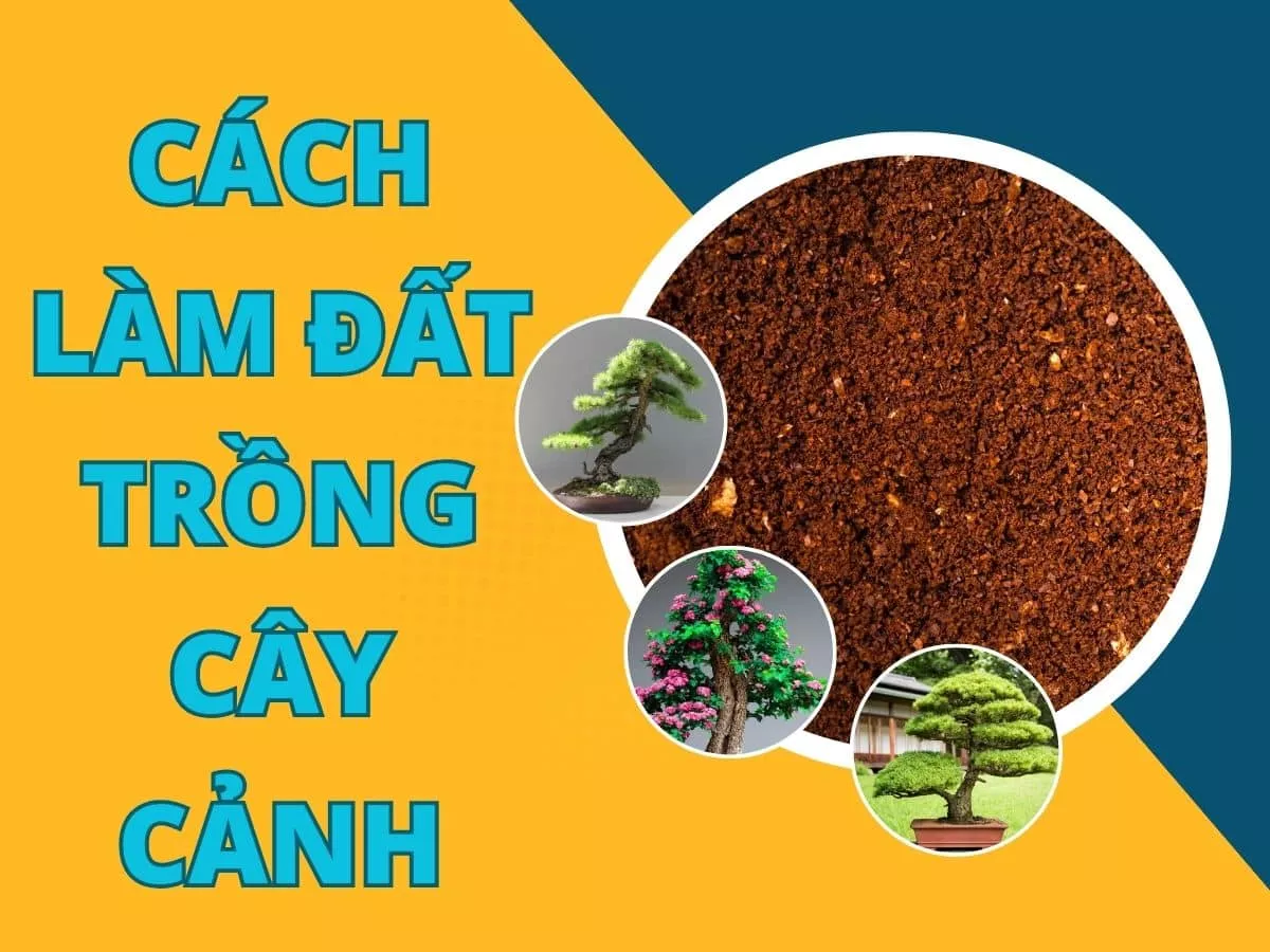 cách làm đất trồng cây cảnh