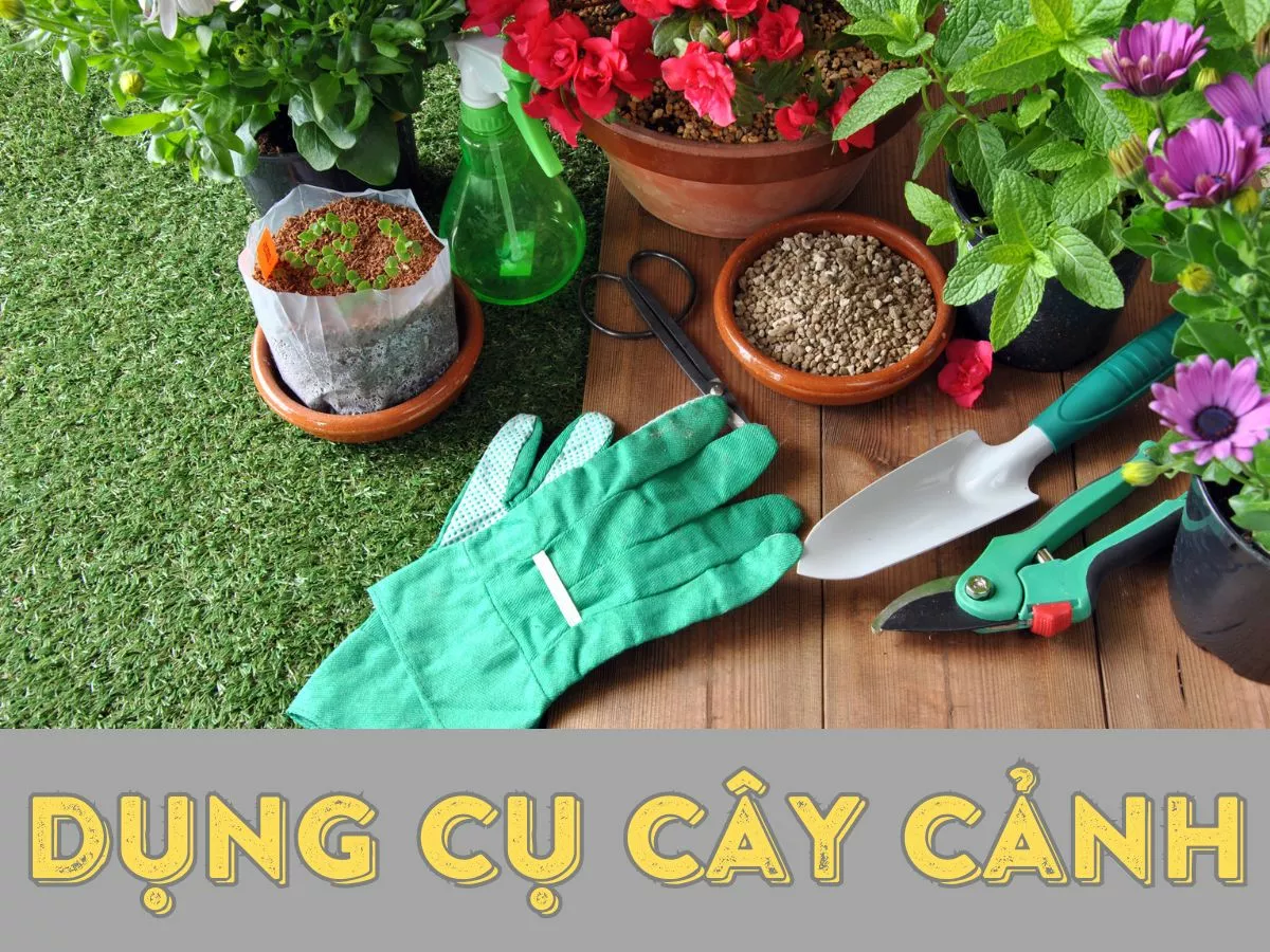 dung cu cay canh.jpg