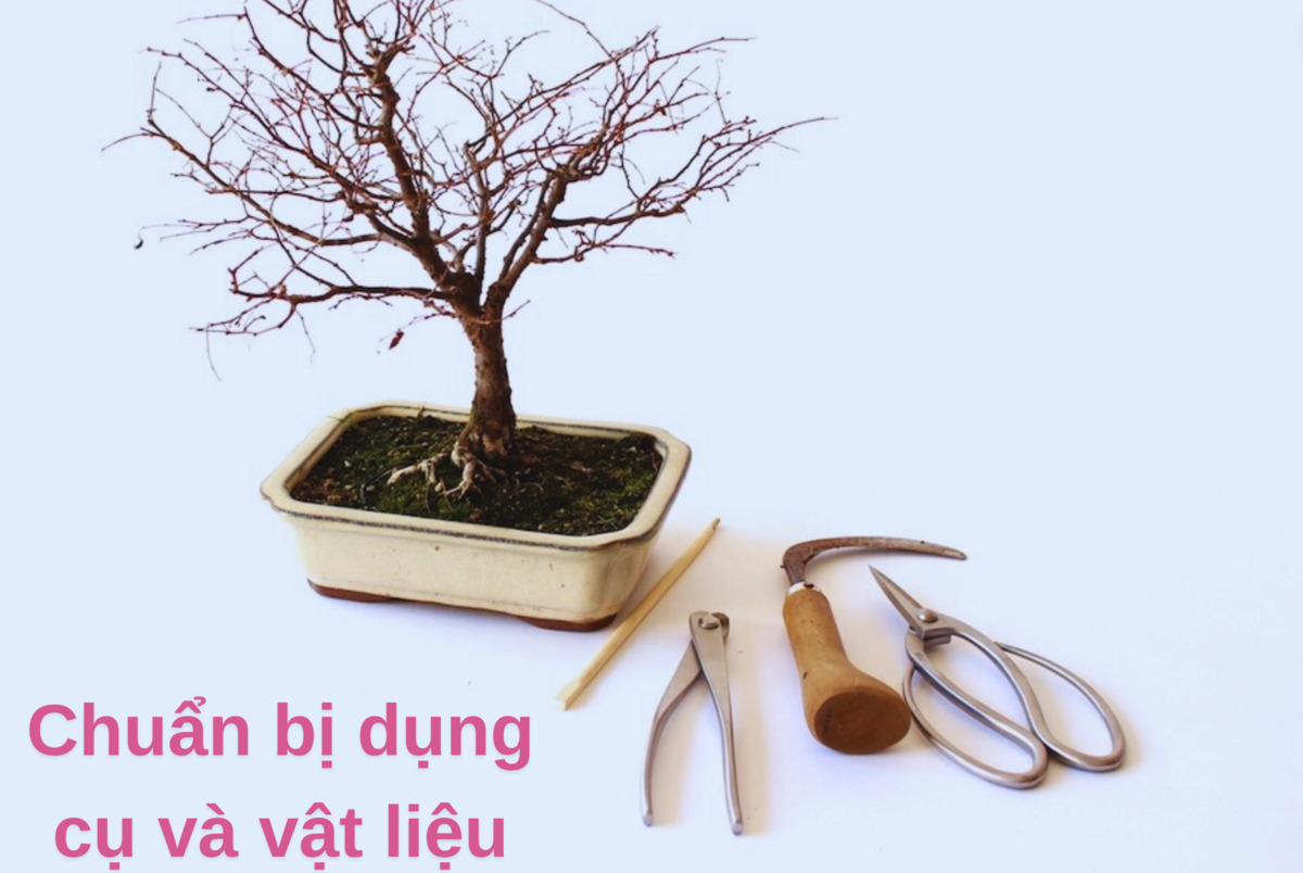 chuẩn bị dụng cụ và vật liệu