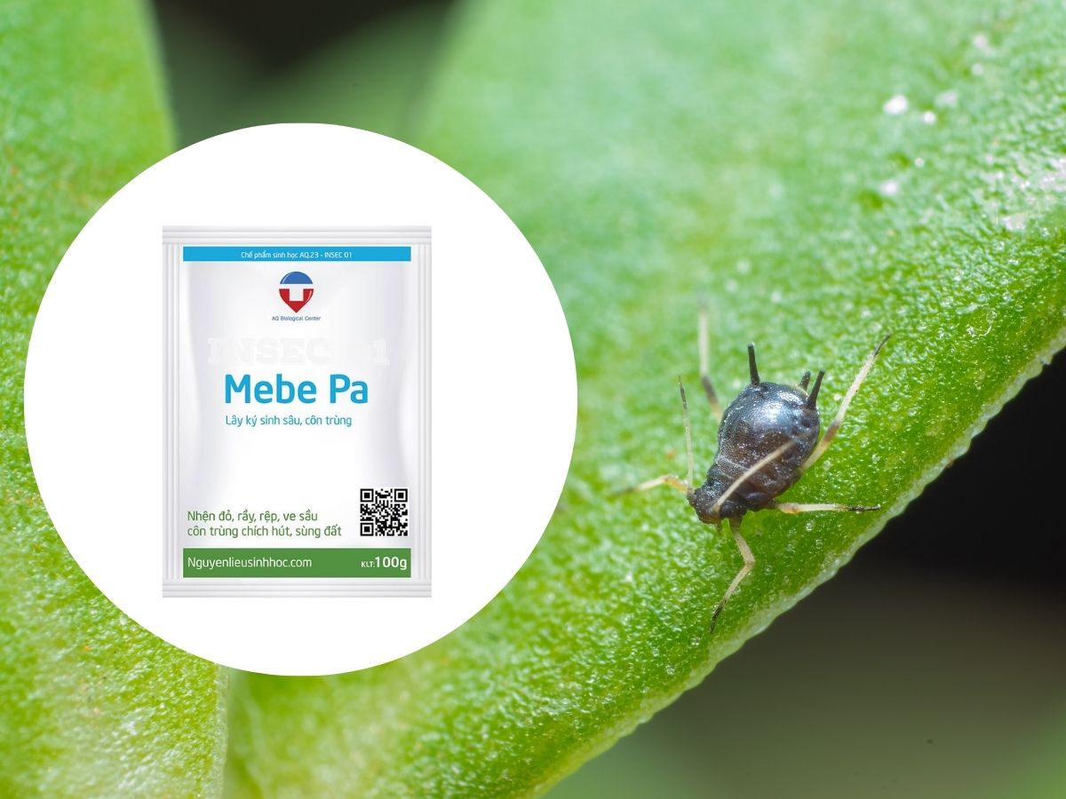 thuốc trị rệp muội đen mebe pa